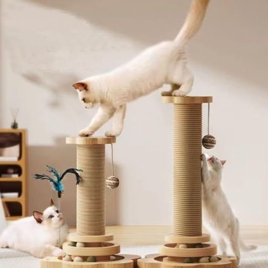 Griffoire chat | DesignPro - Allo Minou