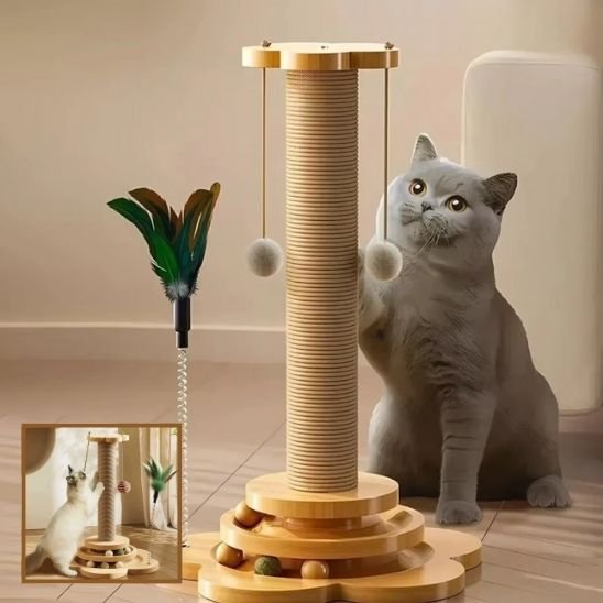 Griffoire chat | DesignPro - Allo Minou