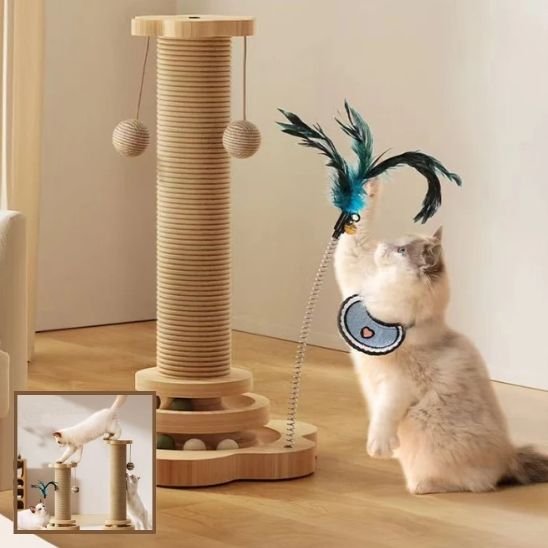 Griffoire chat | DesignPro - Allo Minou