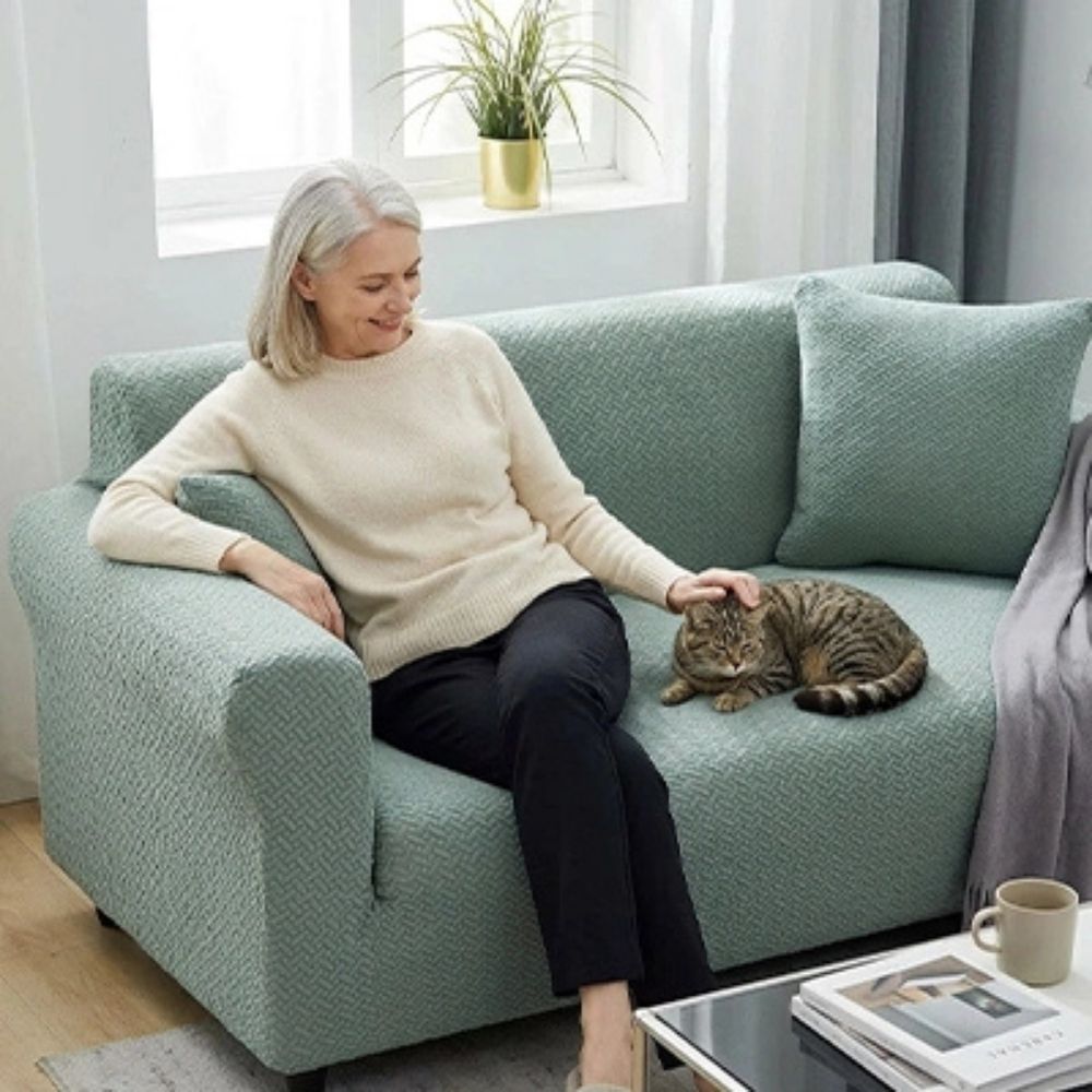 housse protection canapé chat vert
