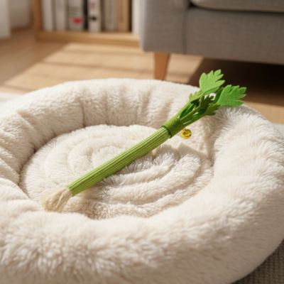 jeux pour chat céleri