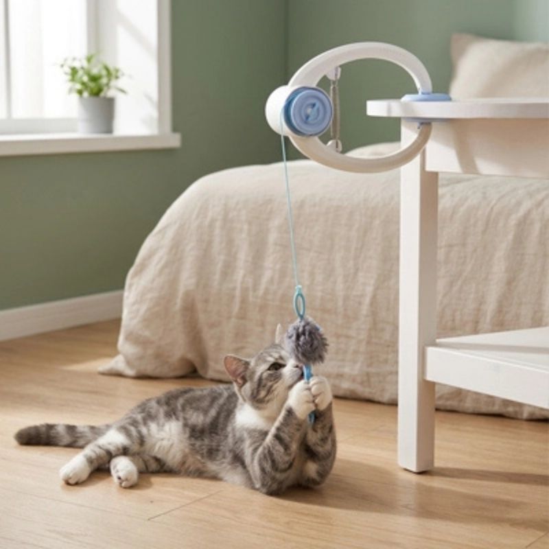 jouet interactif chat