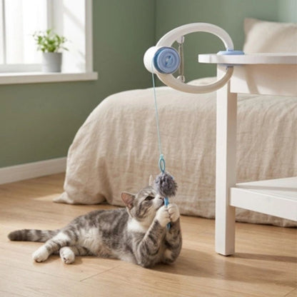 jouet interactif chat