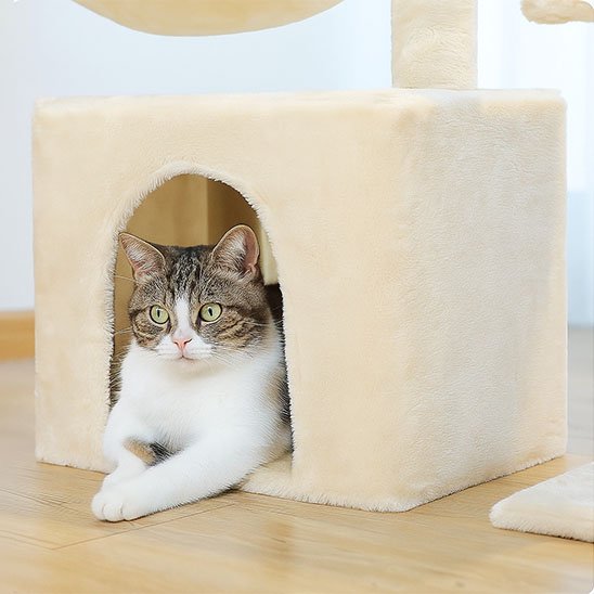 Petit arbre a chat​ niche confortable