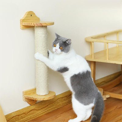 poteau enroule de corde arbre a chat blanc