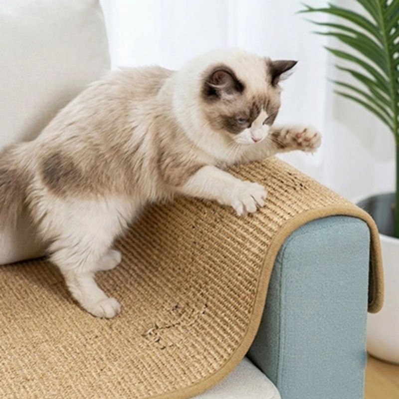 protection canapé chat CatProtect